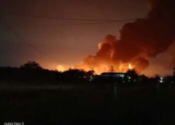 Photo - Army Military Force