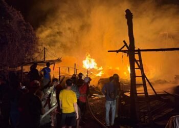 Photo - Army Military Force