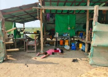 Photo - People’s Defense Comrade