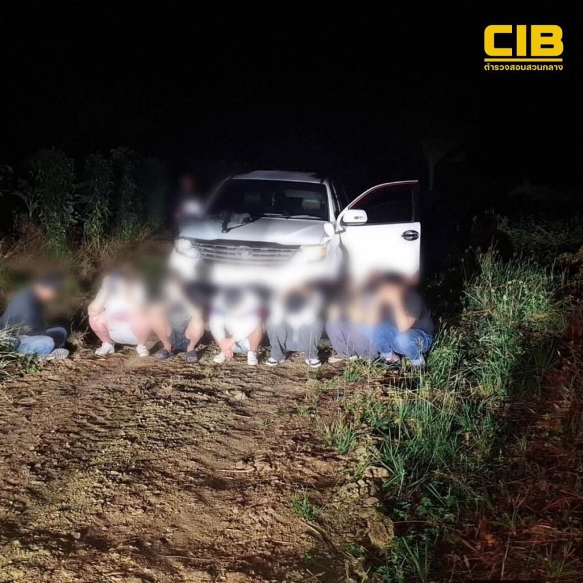 ဓာတ်ပုံ - CIB