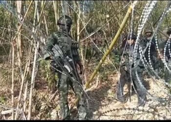 Photo - Army Military Force