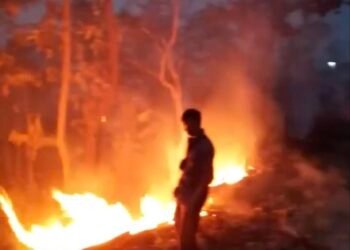 ဓာတ်ပုံ - လူမှုကွန်ရက်