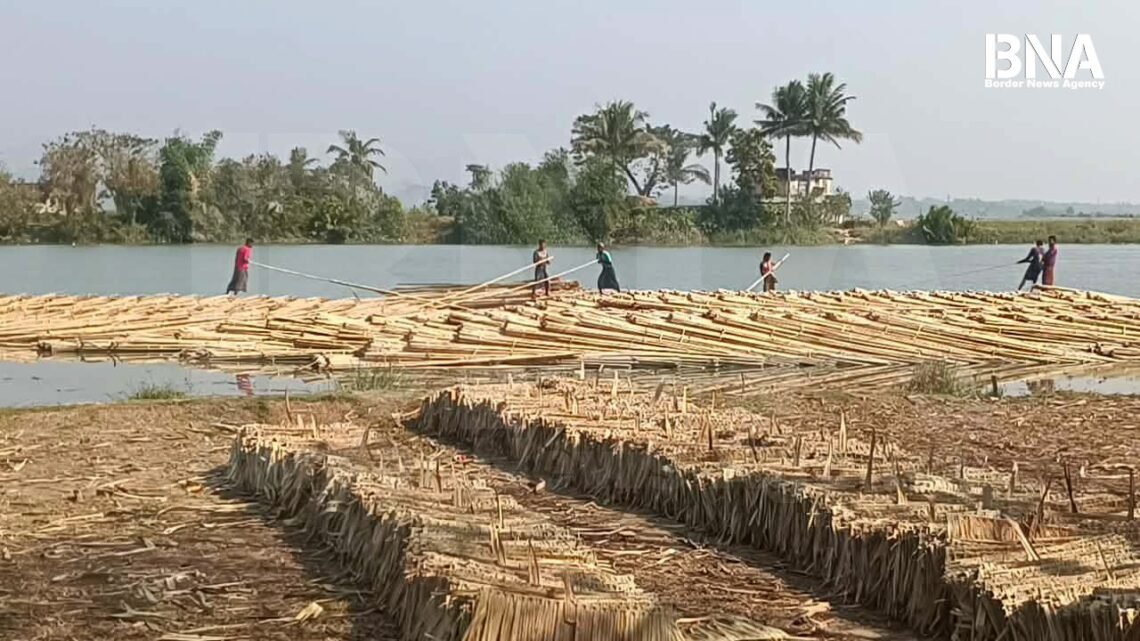 ​ဓာတ်ပုံ - BNA