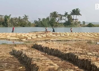 ​ဓာတ်ပုံ - BNA