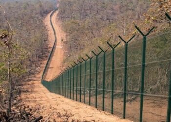 Photo - N. Biren Singh