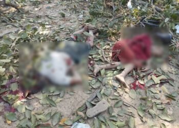 Photo - SpringRevolution