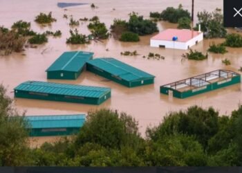 ကိုးကား - နိုင်ငံတကာသတင်းတွေ