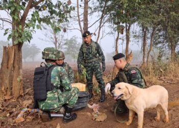 ဓာတ်ပုံ-ဖာမိူင်းစစ်ကြောင်း