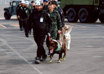 Photo - SMART Soldiers Strong ARMY