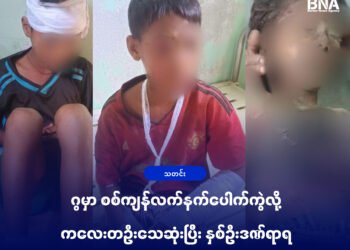ဓာတ်ပုံ - APM