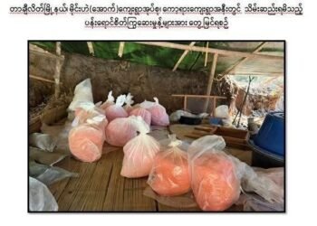 ဓာတ်ပုံ - မြန်မာနိုင်ငံရဲတပ်ဖွဲ့