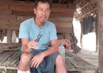 ဓာတ်ပုံ - APM