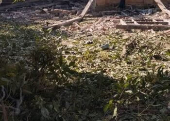 ဓာတ်ပုံ - ကနီသားများ၏ရင်တွင်းအသံ