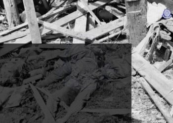 ဓာတ်ပုံ - KNU