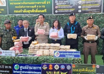 ဓာတ်ပုံ - ထိုင်းဘုရင့်တပ်တော်