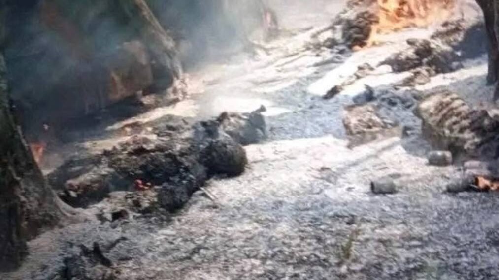 ဓာတ်ပုံ- MR