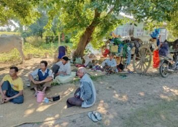 ဓာတ်ပုံ-ကနီသားများ၏ရင်တွင်းအသံ