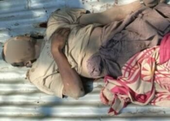 ဓာတ်ပုံ - APM