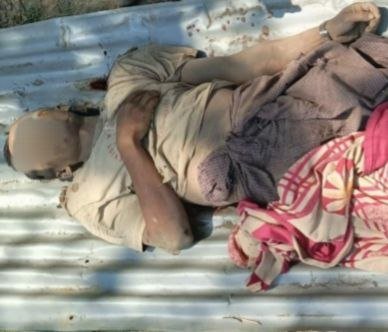 ဓာတ်ပုံ - APM