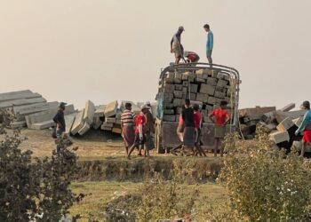 (ဓာတ်ပုံ - မောင်တောကညင်ချောင်းစီးပွားရေးဇုန်းဆိပ်ကမ်းမှာတွေ့ရတဲ့သစ်တွေ / BNA)