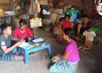 ဓာတ်ပုံ - WLP
