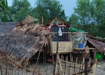 ဓာတ်ပုံ - ပုဏ္ဏားကျွန်းလူငယ်အစည်းအရုံး