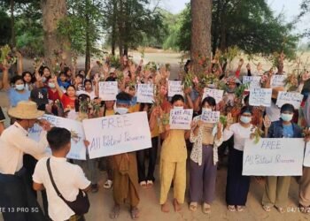 ဓာတ်ပုံ - PPNM