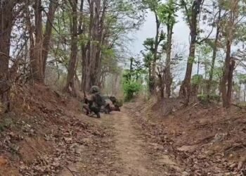 ဓာတ်ပုံ - မြိုင်မြို့နယ်ပြည်သူ့ကာကွယ်ရေးအဖွဲ့