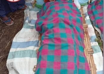 ဓာတ်ပုံ - ဝက်လက်သတင်းကွန်ရက်