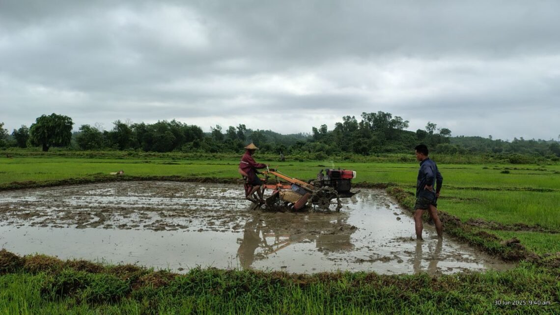 ဓာတ်ပုံ - BNA