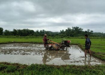 ​ဓာတ်ပုံ - BNA