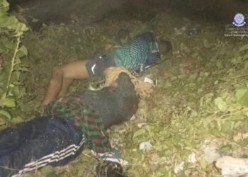 ဓာတ်ပုံ - KNU