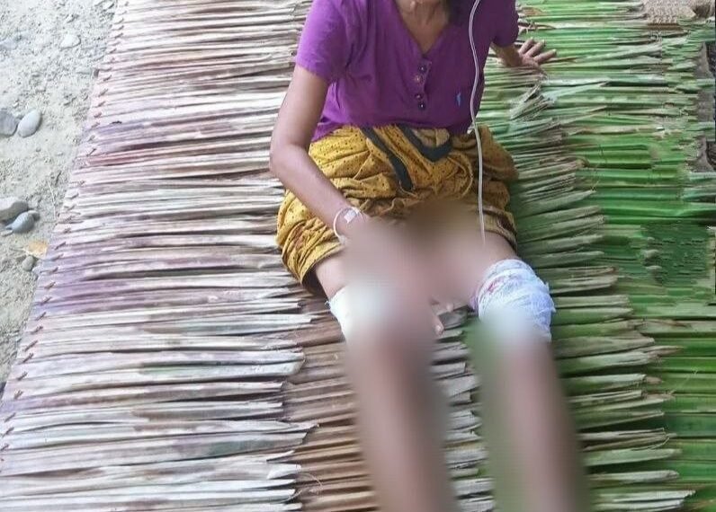 Photo - Arakan Princess Media