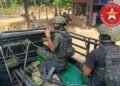 ဓာတ်ပုံ - MSDF