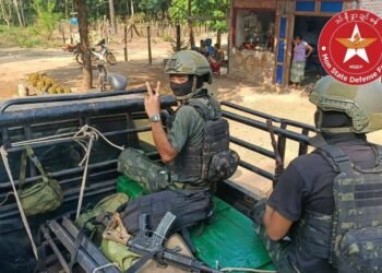 ဓာတ်ပုံ - MSDF