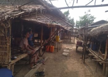 ဓာတ်ပုံ - BNA