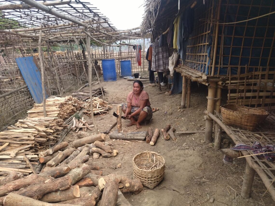 ဓာတ်ပုံ-BNA