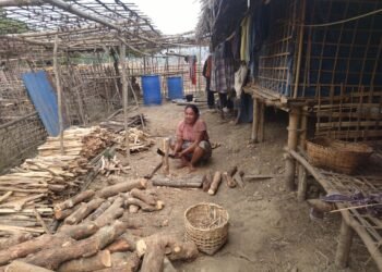 ဓာတ်ပုံ-BNA
