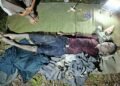 ဓာတ်ပုံ-BNA