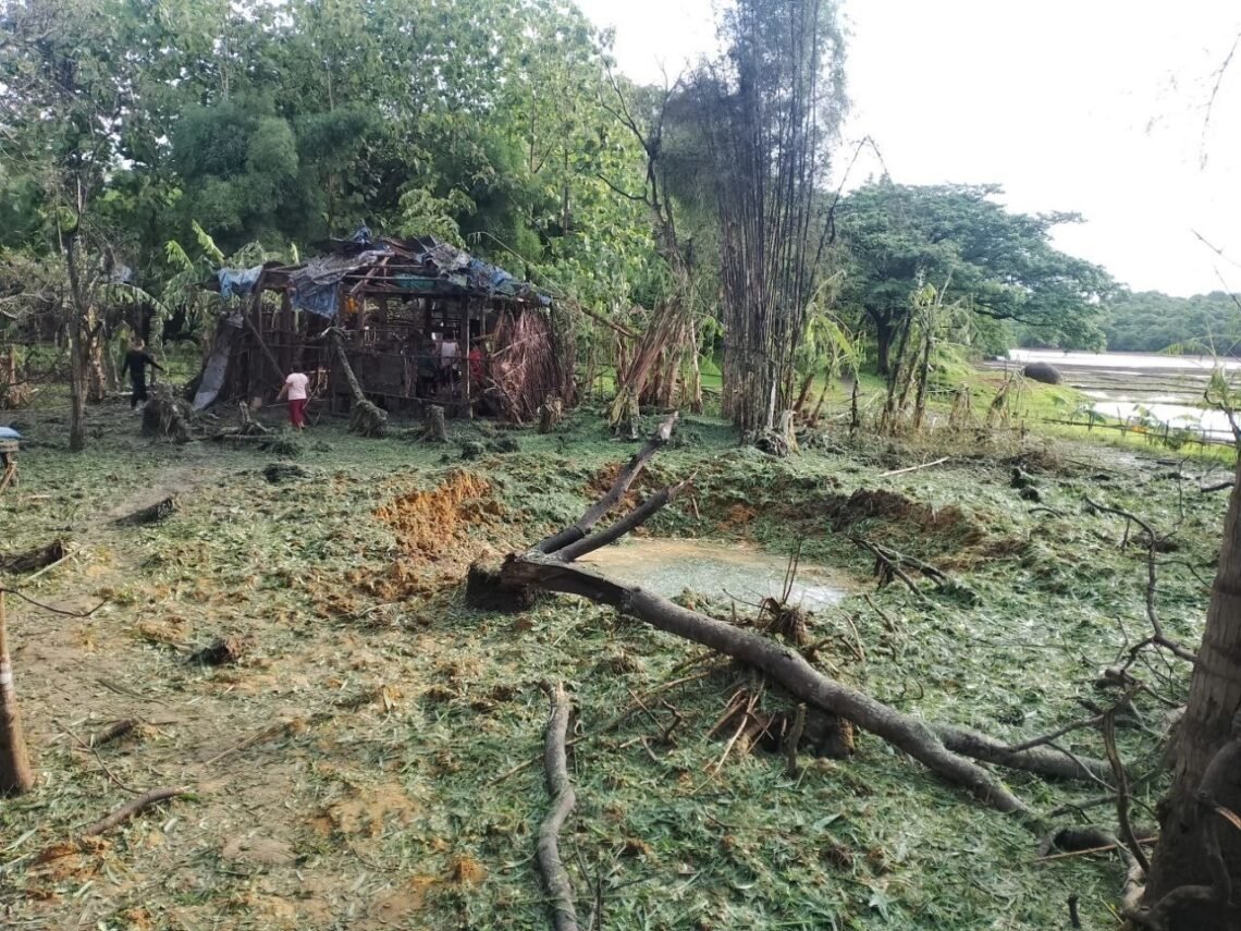 ဓာတ်ပုံ - APM