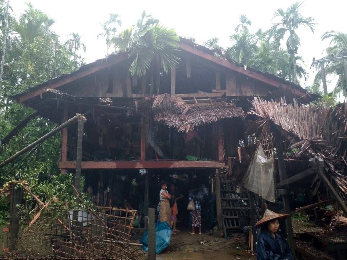 ဓာတ်ပုံ - APM