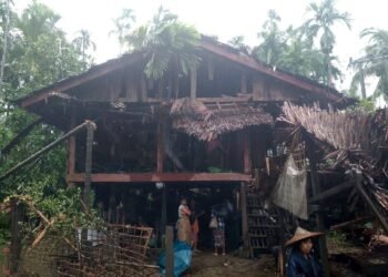 ဓာတ်ပုံ - APM