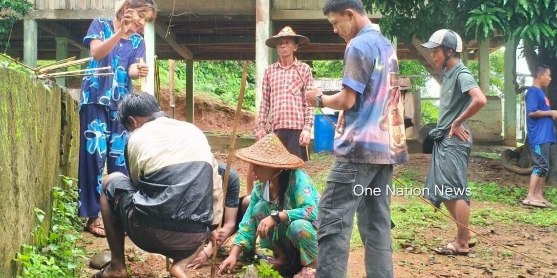 ဓာတ်ပုံ - One Nation News
