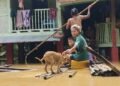 ဓာတ်ပုံ - ကိုဇော်မျိုးထွန်း