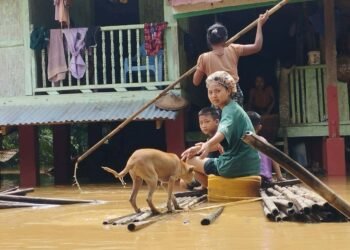 ဓာတ်ပုံ - ကိုဇော်မျိုးထွန်း