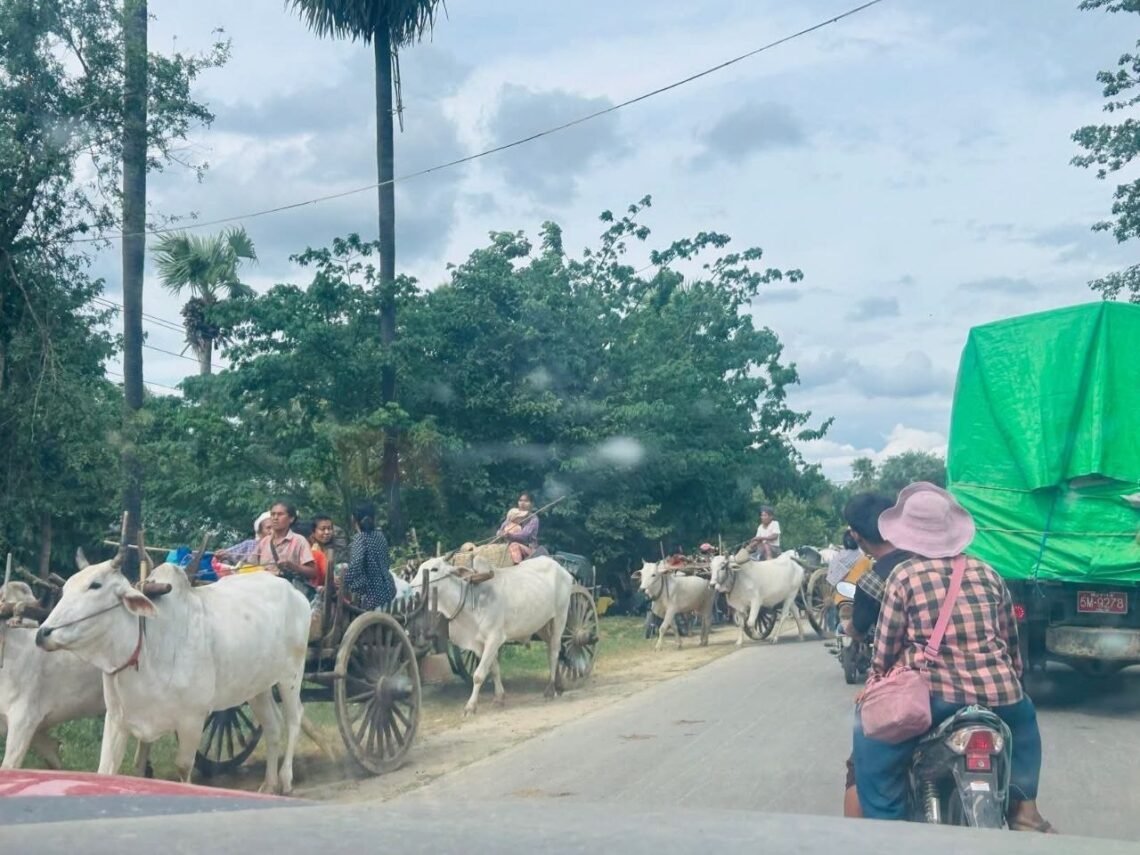 ဓာတ်ပုံ - ပေါက်မြို့နယ် ပြည်သူ့အုပ်ချုပ်ရေးအဖွဲ့ (ပအဖ)