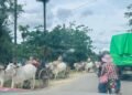 ဓာတ်ပုံ - ပေါက်မြို့နယ် ပြည်သူ့အုပ်ချုပ်ရေးအဖွဲ့ (ပအဖ)