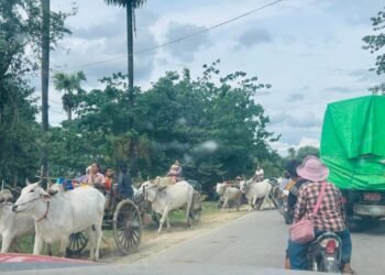ဓာတ်ပုံ - ပေါက်မြို့နယ် ပြည်သူ့အုပ်ချုပ်ရေးအဖွဲ့ (ပအဖ)