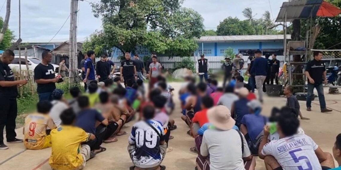 ဓာတ်ပုံ - โจโฉ