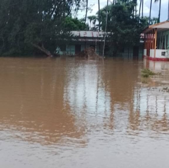 ဓာတ်ပုံ - ဒီပဲယင်းမြို့နယ် ပြည်သူ့အုပ်ချုပ်ရေးအဖွဲ့